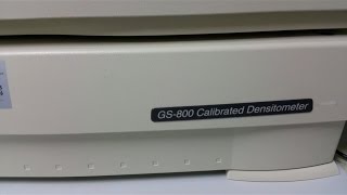 How to takescan SDS PAGE gel photo using Densitometer GS800 Calibrated Densitometer [upl. by Perrins]