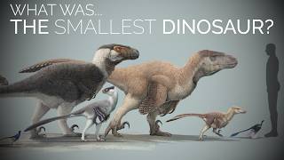 The SMALLEST amp Cutest Dinosaurs on Earth… [upl. by Nogas]