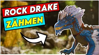 Schnell und Einfach Rock Drake Zähmen Ark Survival Ascended Aberratio [upl. by Blossom]