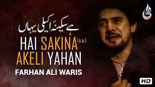 Farhan Ali Waris  Hai Sakina Akeli Yahan  Noha  2013 [upl. by Anyaled]