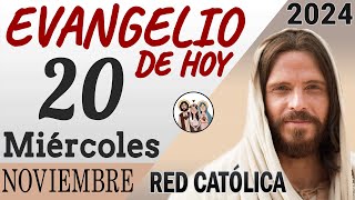 Evangelio de Hoy Miercoles 20 de Noviembre de 2024  REFLEXIÓN  Red Catolica [upl. by Ortrude]