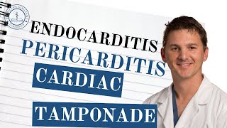 PANCE Review Endocarditis Pericarditis amp Cardiac Tamponade – Key Facts You Need to Know [upl. by Haroved208]