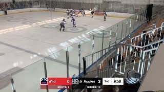 16u vs Wasatch Wild Highlights [upl. by Einaj]