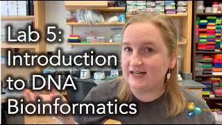 Introduction to DNA Bioinformatics Sanger Sequencing [upl. by Ybrik]