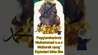 Paygambarimiz Muhammad sav Muborak oyog kiyimlari viralvideos uzbekfilm shortvideo shorts [upl. by Klehm547]