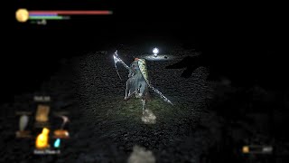 DS3  My First Real Jumpscare in a long time [upl. by Athey499]