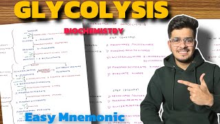 Glycolysis Biochemistry  Carbohydrate Metabolism Biochemistry  Glycolysis Pathway [upl. by Imoyaba622]