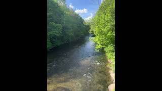 Beaverkill river in roscoe NY trout fishing troutbum [upl. by Qifar]