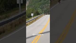 Cabot trail see view second video [upl. by Cartwright]