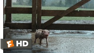 Charlottes Web 210 Movie CLIP  Wilbur Plays in the Mud 2006 HD [upl. by Ellerret438]