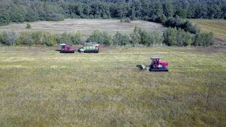 Wetlands Harvesting Equipment  HDS Dunnink Staphorst  Moeras  Veengebied maaien en oprapen [upl. by Nyrat]