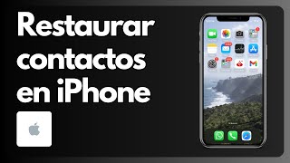 Cómo restaurar contactos en iPhone Tutorial [upl. by Eenaej5]