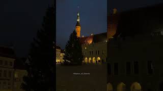 Tallinn Christmas Tree 20242025 [upl. by Suneya569]