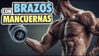 Biceps y Triceps Fuertes con Mancuernas  En Casa [upl. by Ydarg604]