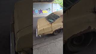 This Thing Has Strong Rot – Neutral Drop shorts automotivecomedy automobile funny [upl. by Webber]