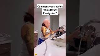 araignée geant humour prank drolevideos griezmann horrorshort [upl. by Mychael457]