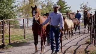 Montana Horse Ranch  Americas Heartland [upl. by Tamma]