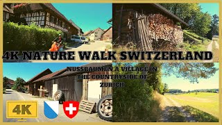 Switzerland Nature Walk  To Nussbaumen a village in the Countryside of Zurich 4K Virtual Tour [upl. by Nations]