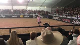 2017 Bull Fighters Only World Finals [upl. by Mitch]