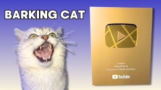 Barking Cat Hits 1 Million Subs [upl. by Tamera]