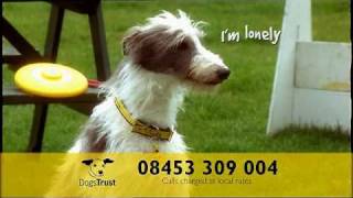 Dogs Trust Ad [upl. by Iretak]