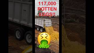 117000 Rotten Eggs 🤮 gross [upl. by Vange]