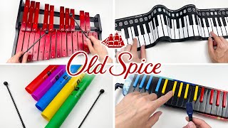 Old Spice commercial jingle on cool different instruments [upl. by Eidob]