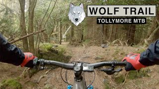 Tollymore MTB Wolf Trail [upl. by Dorran]