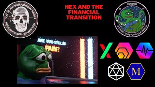 HEX AND THE FINANCIAL TRANSITION [upl. by Wehner]