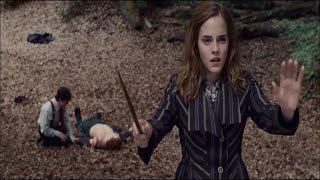 Harry Potter and the Deathly Hallows  Part 1  Trailer [upl. by Nader]