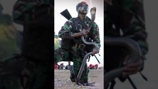 para commando trending viral status video army shortvideo [upl. by Readus]