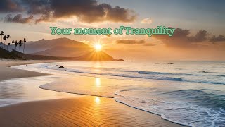 Your moment of Tranquility [upl. by Kohn98]