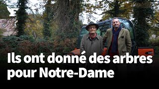 Propriétaires forestiers ils ont donné des arbres pour la charpente de NotreDame de Paris [upl. by Genesa]