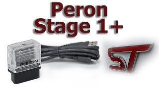 Fiesta ST Peron Stage 1 Install [upl. by Polloch246]