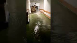 AVISO ROJO en MÁLAGA por una DANA que deja INUNDACIONES y RIADAS [upl. by Aika]