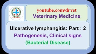 Ulcerative lymphangitis Part 2  pathogenesis clinical signs [upl. by Ynes]