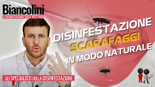 ​📌​Disinfestazione naturale fai da te Eliminare scarafaggi in casa tua grazie ad un GEL speciale [upl. by Elicul]