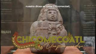 Chicomecóatl Una pieza una diosa En el Museo Comunitario Culhuacán [upl. by Nedearb]