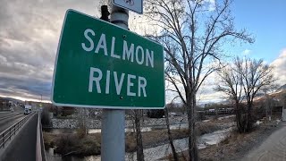 2024 IDAHO STEELHEAD RETURNS IN SALMON [upl. by Baumbaugh937]