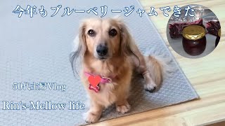 50代主婦Vlog ブルーベリージャム作り 扇風機サーキュレーター掃除 [upl. by Noremac]