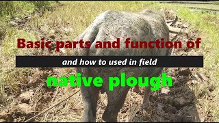 Native Plough plow I Basic Parts and Function I Simple uses [upl. by Eikin646]