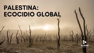 Temporada 4  Episodio 8  Palestina Ecocidio Global [upl. by Rosenblum]