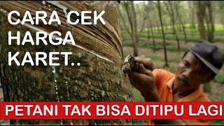 CARA MENGETAHUI HARGA KARET UNTUK PETANI [upl. by Earised59]