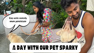 A day with our pet sparkyDog bathing vlog tamil doglover dog dogcare trending trendingvideo [upl. by Nylecsoj]