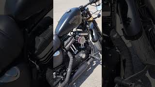 Custom Harley Davidson Sportster Iron 883 iron883 [upl. by Sylvanus]