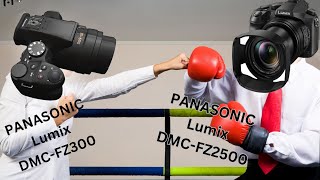 Panasonic FZ300 vs FZ2500 The Gloves are off [upl. by Legna]