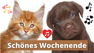 Grüße für ein schönes Wochenende 🌞 Tolle Musik Not US🎶🎵🎶 Liebe Grüße zum Wochenende für WhatsApp [upl. by Hoon387]