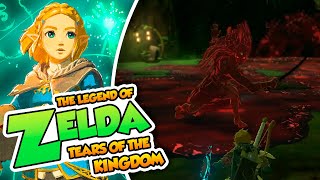 Tensión fantasmal  21  TLO Zelda Tears of the Kingdom en Español Switch DSimphony [upl. by Yllek985]