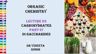 Exploring the World of Disaccharides Structure Function and Importance [upl. by Denney]