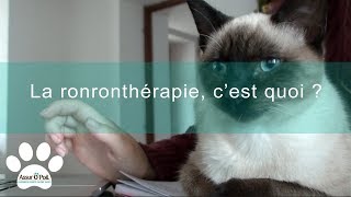 La ronrontherapie cest quoi   Assur OPoil [upl. by Kiel84]